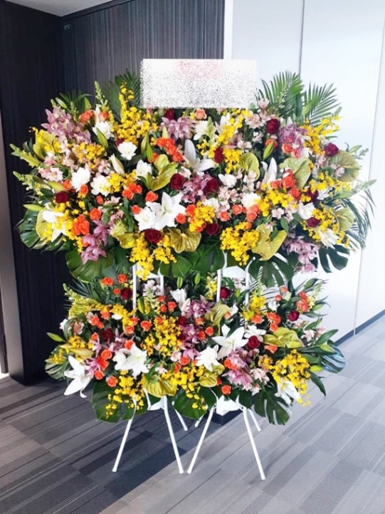 �ץ��ˤ�Ǥ����2Ϣ�륹����ɲ֡�2�ʡ��ǹ���80000�ߡ�1187st2-15013