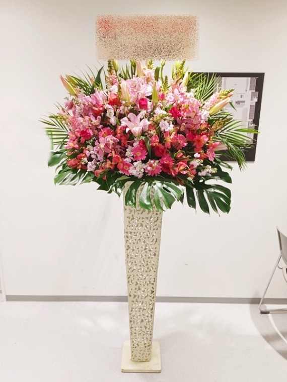 �ԥ󥯷ϡ���֥ꥭ������ɲ֡��ǹ���26000�ߡ�1187st1-15012