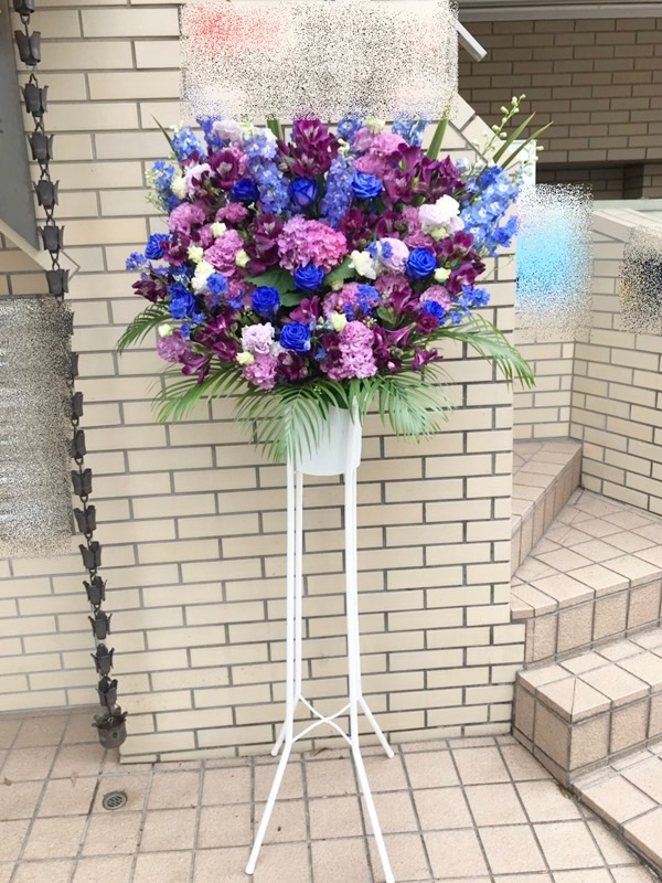 �֥롼�ѡ��ץ�ϡ�������ɲ֡�1�ʡ��ǹ���18000�ߡ�1187st1-15030