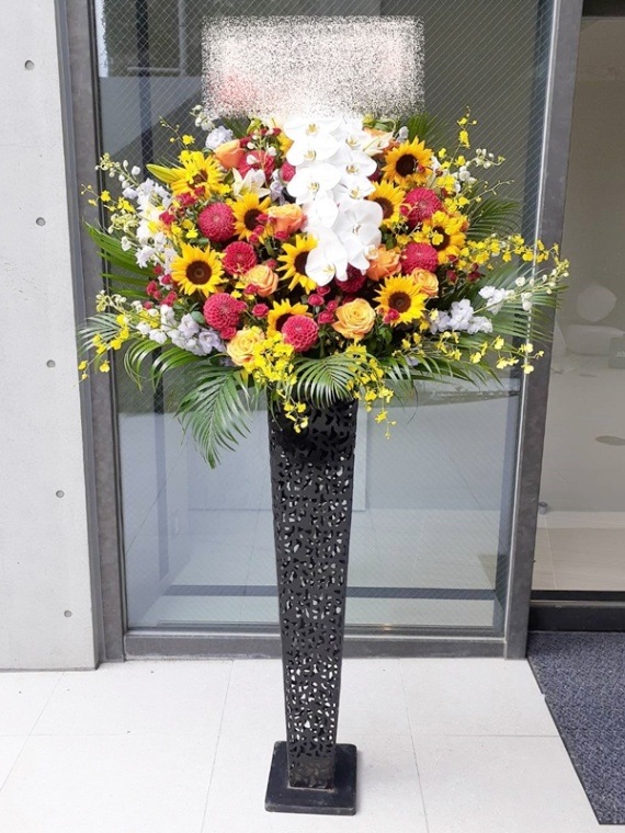 ��ĳ��������åɥ��������ϡ����֥ꥭ������ɲ�1�ʡ��ǹ���23000�ߡ�1187st1-15092