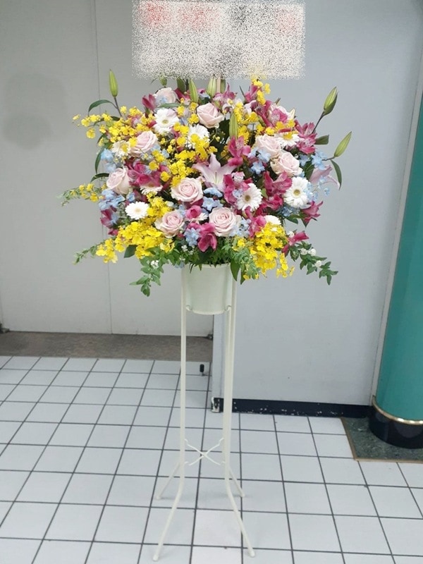 �ѥ��ƥ�Ĵ��������ɲ֡�1�ʡ��ǹ���16500�ߡ�1187st1-16015