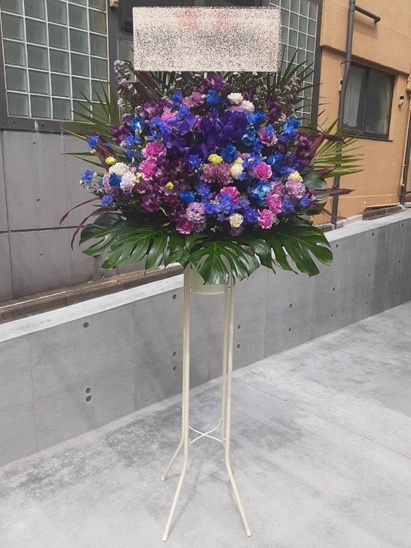 �֥롼�ѡ��ץ�ϡ�������ɲ֡�1�ʡ��ǹ���18000�ߡ�1187st1-16067