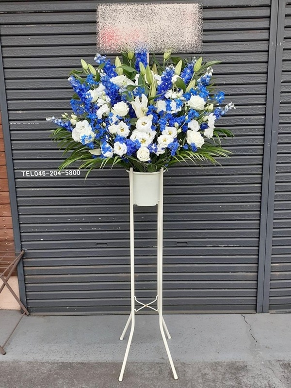 �ۥ磻�ȥ֥롼�ϡ�������ɲ֡�1�ʡ��ǹ���16500�ߡ�1187st1-16081
