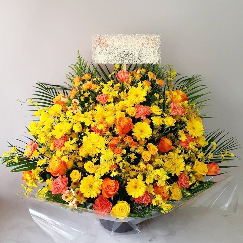 󥸥 aren-250037
