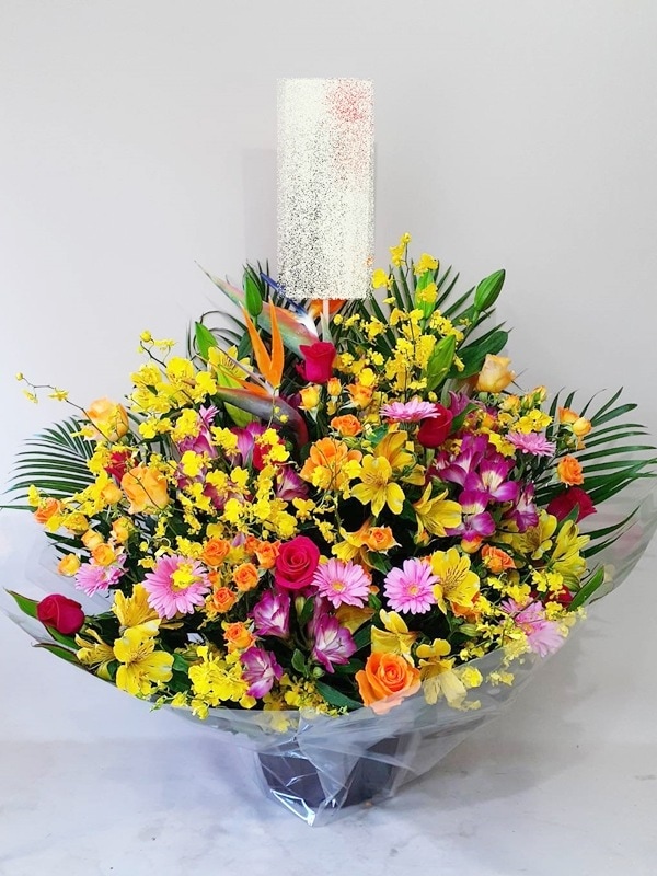 󥸥 aren-250042