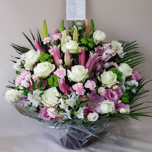 ����󥸥��� aren-250045