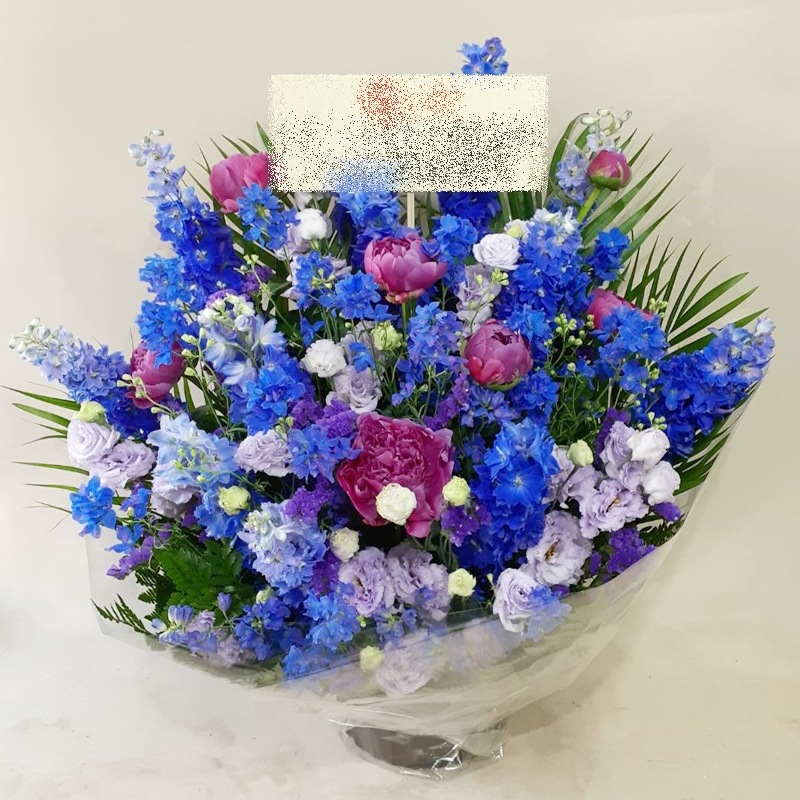 󥸥 aren-250070