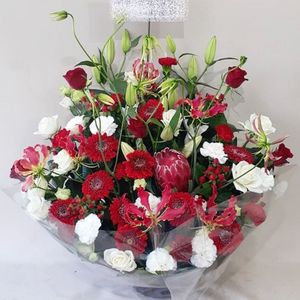 ����󥸥��� aren-250092