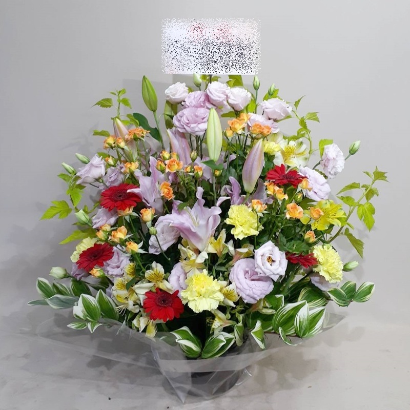 アレンジメント aren-250098|15000円〜19900円|アレンジメント