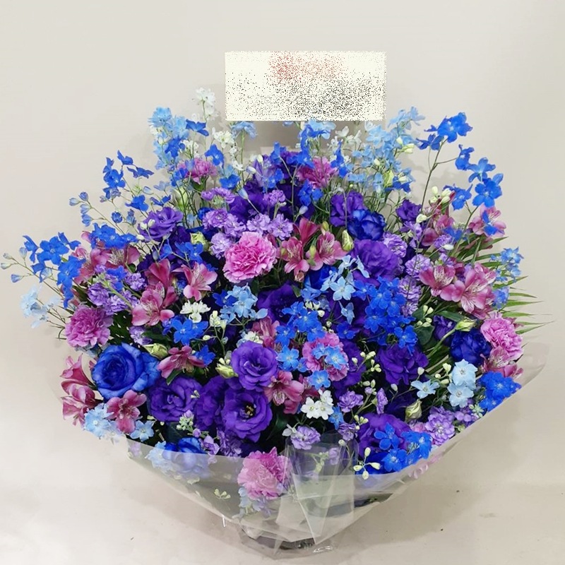 󥸥 aren-250194֥롼ѡץ