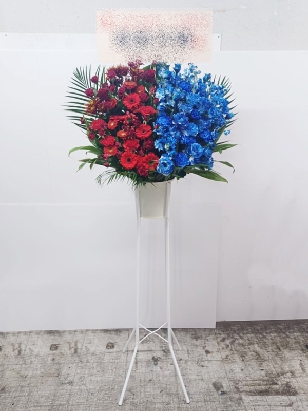 ������ɲ�1�ʡ�st1-25010���ϡ��ա��ϡ��ա���åɥ֥롼��