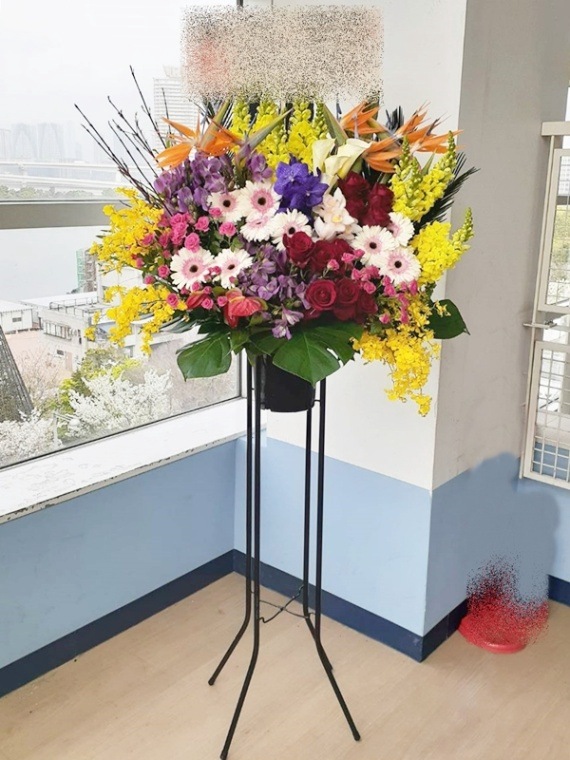 ������ɲ�1�ʡ�st1-25053��color mix -grouping style-28