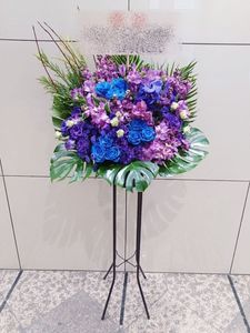 ������ɲ�1�ʡ�st1-25001���֥롼�ѡ��ץ��25