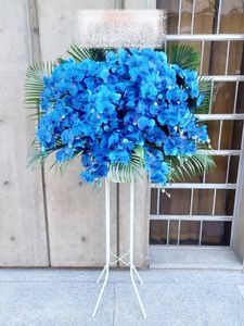 ������ɲ�1�ʡ�st1-25004�����ե���Ρ��֥롼��50