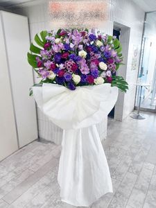 ������ɲ�1�ʡ�st1-25008���֥롼�ѡ��ץ�ۥ磻�ȷϡ��ۥ磻�ȥ�ܥ��ա�22
