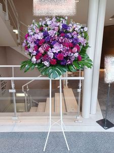 ������ɲ�1�ʡ�st1-25009���֥롼�ѡ��ץ��18