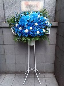 ������ɲ�1�ʡ�st1-25023���֥롼�ۥ磻�ȷ�29