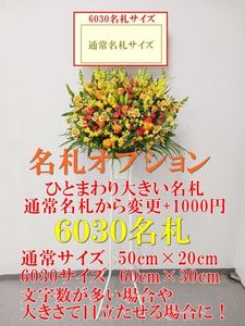 �������������ա���̤������ϰ���ꡪ������ɲ����ѥ��ץ����6030̾����1000��