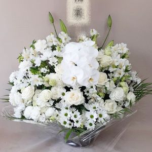 ���֡��涡��������ߥ���󥸥��ȡ�mk87-0022