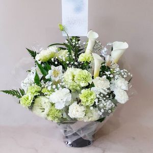 ���֡��涡��������ߥ���󥸥��ȡ�mk87-0024