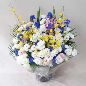 ���֡��涡��������ߥ���󥸥��ȡ�mk87-0031