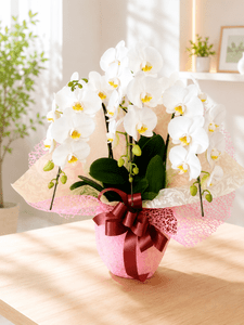 �ۥ磻�ȡ�3��Ω���ߥǥ�����ĳ��ȭ��10 1187fp-2026-2