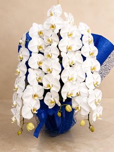 �ۥ磻�ȡ�3��Ω����ĳ����285 1187fp-017