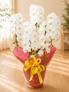 �ۥ磻�ȡ�5��Ω����ĳ��ȭ��42 1187fp-2030