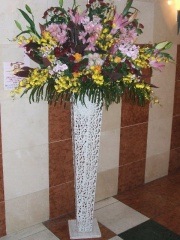 ʥ֥ꥭ桡Ǥɲ֡ԷʳϷʤξ⤢ޤ 1187artst-009