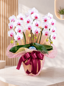 �֥�åס�3��Ω���ߥǥ�����ĳ��ȭ��11 1187fp-041