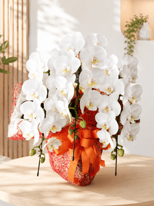 �ۥ磻�ȡ�3��Ω���ߥǥ�����ĳ��ȭ��12 1187fp-2026-1