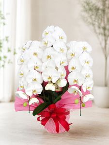 �ۥ磻�ȡ�3��Ω����ĳ��ȭ��20 1187fp-014