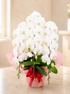 �ۥ磻�ȡ�3��Ω����ĳ��ȭ��235 1187fp-015