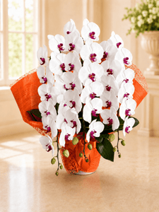 �֥�åס�3��Ω����ĳ��ȭ��295��1187fp-044