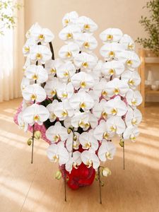�ۥ磻�ȡ�5��Ω����ĳ��ȭ��55 1187fp-033
