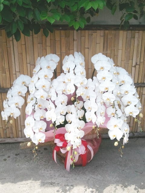 �ۥ磻�ȡ�10��Ω����ĳ��ȭ��99 1187fp-011