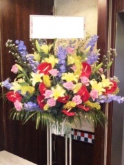 ȥԥ륫顼ɲ֡1ʡǹ16500ߡ1187st1-031