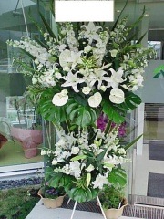 �ۥ磻�ȷ�L��������ɲ֡�2�ʡ����ǹ���26200�ߡ�1187st2-065