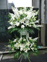 �ۥ磻�ȷϡ�������ɲ֡�2�ʡ��ǹ���24200�ߡ�1187st2-066