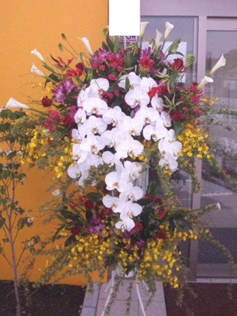 胡蝶蘭入り 豪華にお任せ スタンド花 2段