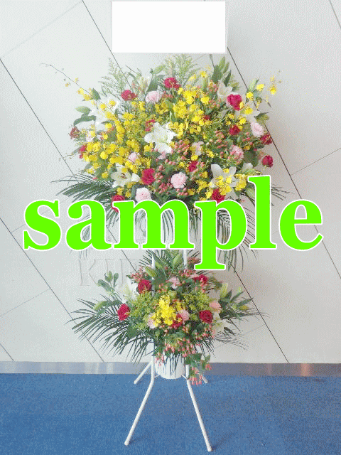 �ϰ���ꡪ��¥�����ɲ֡�2�ʡ��ǹ���16500�ߡ������礤����Ǥ��ޤ��󡡿��礤����ξ���22000���ǹ���