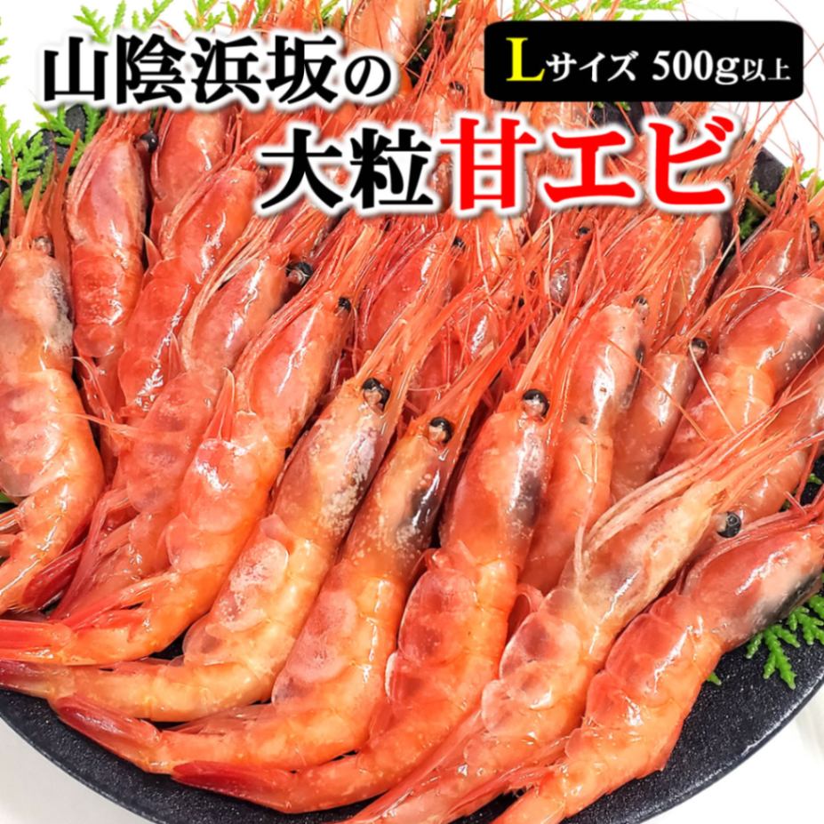【送料無料セール】お刺身用「甘海老（あまえび）」【船内冷凍】　大サイズ【国産（山陰浜坂産）】（甘エビ、甘えび）