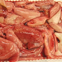 穴子の肝と胃袋（冷凍）　約100g　（浜坂産）　（あなご・アナゴ）