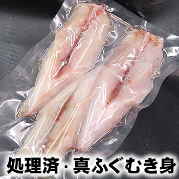 真フグむき身（冷凍）　約500-550g（1-4尾入り）　【浜坂産】　※大小あり　※真空パック入り