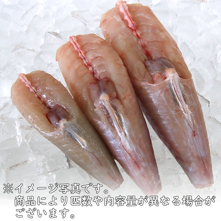 ゴマフグむき身（冷凍）1尾で約500～550g入　【浜坂産】　※大小あり　※真空パック  下処理済 身欠き みがき てっちり 鍋 河豚 ごまふぐ ふぐ 白身魚 生食 煮付 お取り寄せ 兵庫 浜坂港 産地直送
