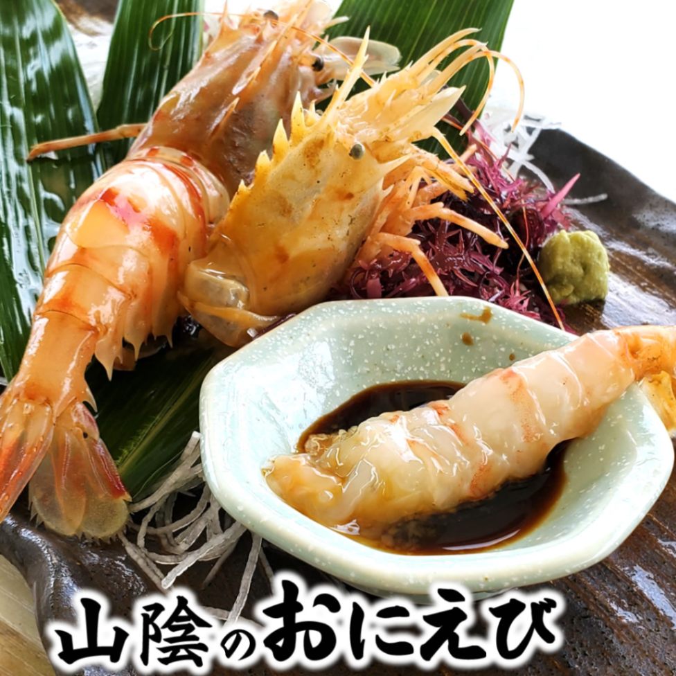 おにえび（冷凍）　サイズ混ざり（約140ｇ前後）　[お刺身可]　≪浜坂産≫　幻のエビといわれるほど希少！（オニエビ、ゴジラエビ）