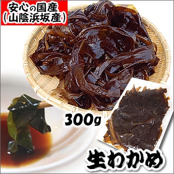 天然生わかめ（若布・ワカメ）【冷凍】約300g×10Ｐ【浜坂産（国産）】天然わかめは市場に流通しているわかめの5～7％程度（おさしみわかめ）