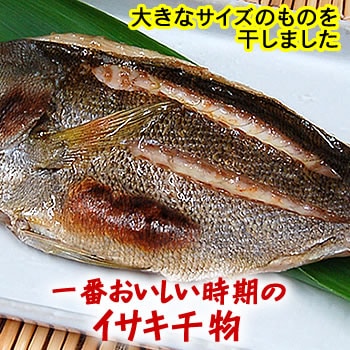 イサキ開き（冷凍）　1尾入×500-599ｇ程度　【浜坂産】　（高級魚・いさき・干物）
