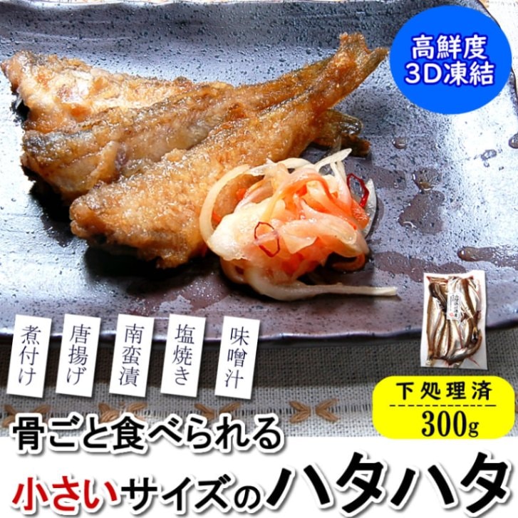 生ハタハタ（無頭・調理済み）【冷凍】　小　約300g入　【浜坂産】　※大小あり
