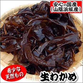 （旬もの予約・送料無料セール）天然　生わかめ（生）たっぷり約1kg（山陰浜坂産）≪予約承り中≫※２セットご注文で500ｇ増量!!　　今が旬！（国産・若布・ワカメ）